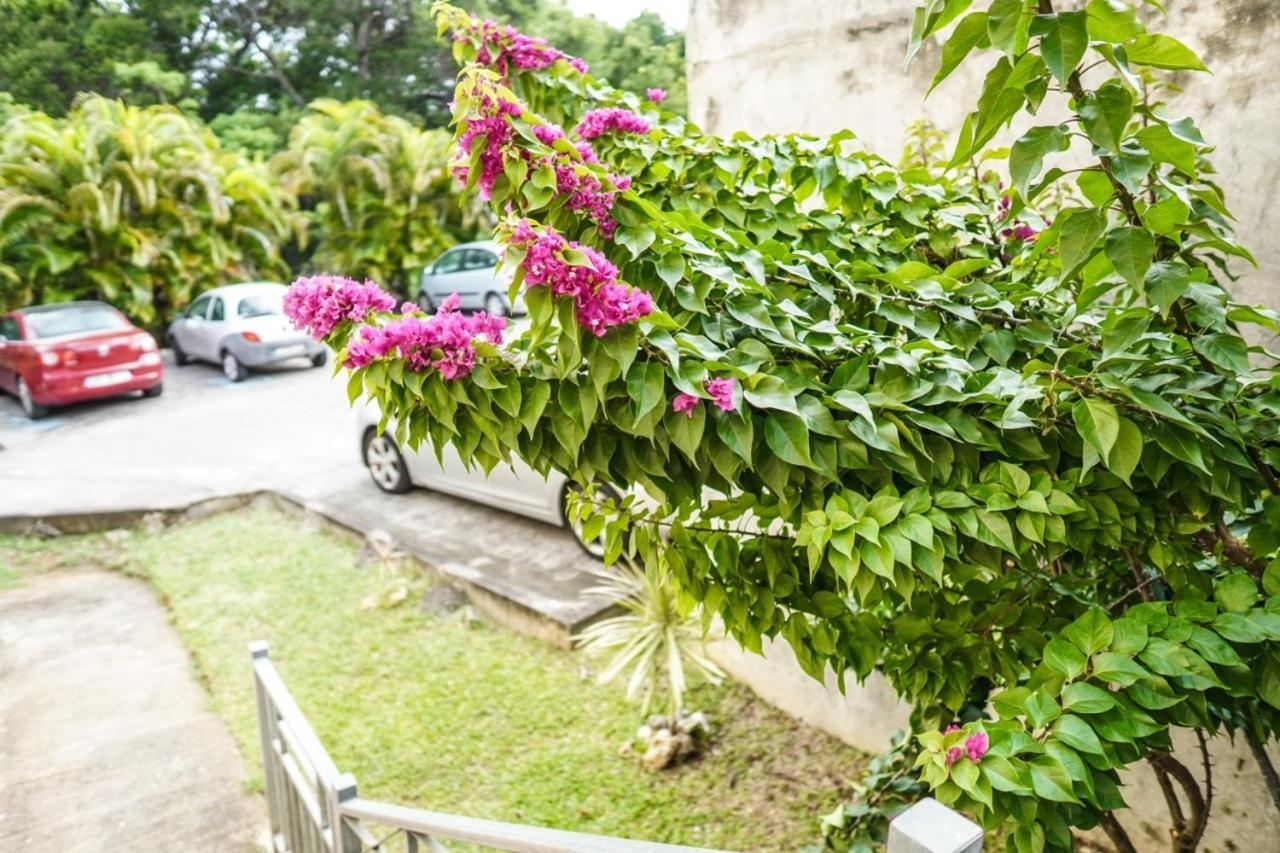Color Garden - Studio Martinique Sainte-Anne Luaran gambar