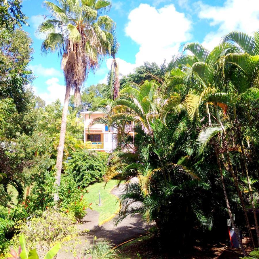 Color Garden - Studio Martinique Sainte-Anne Luaran gambar