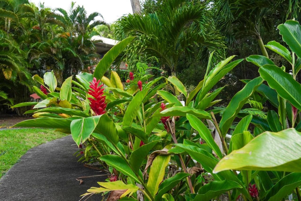 Color Garden - Studio Martinique Sainte-Anne Luaran gambar