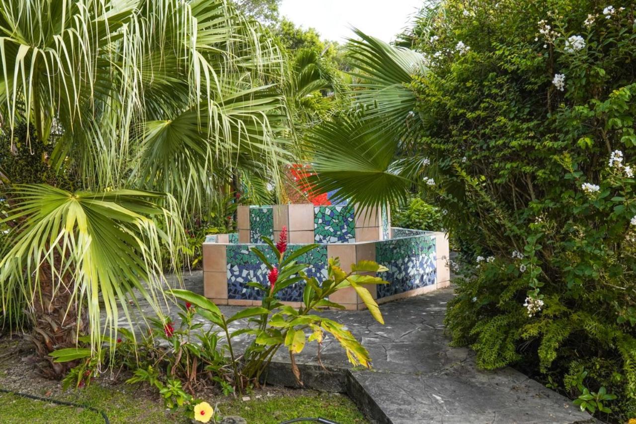 Color Garden - Studio Martinique Sainte-Anne Luaran gambar